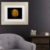 Trademark Fine Art - Brian Carson Backyard Flowers 58 Matted Framed Art - image 2 of 4