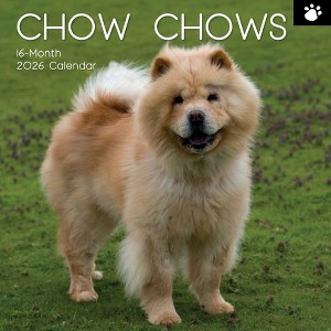 2026 Square Wall Calendar, Chow Chow, 16-Month Animals Theme with 180 Reminder Stickers (12x12 In) - 1 of 4