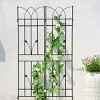 Metal Garden Trellis, 71" X 17" Metal Trellises For Climbing Plants, Garden Trellis Climbing Plants, Garden Trellis Modern-Cuddlewood - 3 of 4