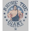 Juniors Womens WWE Andre the Giant 8th Wonder of the World Distressed T-Shirt - 2 of 4