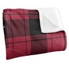 Lenoirrhyne University Campus Plaid Spirit Silky Touch Super Soft Throw Blanket 50x60 - 3 of 4