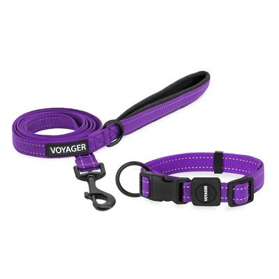 Voyager Adjustable Nylon Collar and Leash Combo for Dogs and Cats