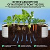 Galvanized Steel Raised Garden Bed with Open-Ended Base Design, Planter Boxes Kit, Elevated Planter for Outdoor Plants, Gardening - 4 of 4