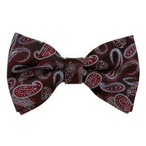 Men's Paisley Color 2.75 W And 4.75 L Inch Pre-Tied adjustable Bow Ties - 1 of 3