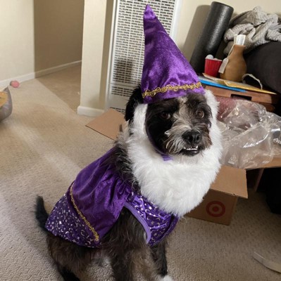 Dog shop wizard costume