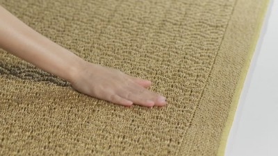 Natural Geometric Sisal 4' x 6' Rectangular Area Rug