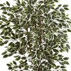 HomeStock  6 ft. Artificial Ficus Tree in Pot for Indoor/Outdoor - 2 of 4