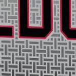 georgia bulldogs uga