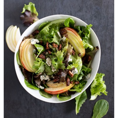 Fresh Revol Greens Spring Lettuce Mix - 4.5oz