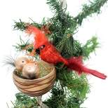 Golden Bell Collection Nest Feeding Cardinals Clip On  -  4.25 Inches -  Ornament Red Bird Feather  -  Br454  -  Glass  -  Red