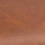 Camel | Natural Wood
