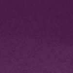 plum purple