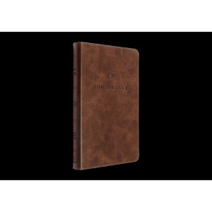 ESV Premium Church Bible (Trutone, Brown) - (Leather Bound) - 1 of 1