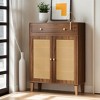 Hommoo Rattan Shoe Cabinet with Doors and Drawer - 4 of 4