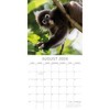 2026 Square Wall Calendar, Monkeys in Natural Habitat, 16-Month Animals Theme with 180 Reminder Stickers (12x12 In) - 3 of 4