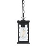 Elegant Lighting Mascher 5 Inch Outdoor Pendant in Black - 2 of 4