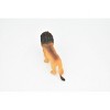 African Lion, Male, King of the African savanna, Museum Quality, Hand Painted, Plastic Animal, Realistic, Model, Toy, 4 1/2 Inches.  CWG191 BB44 - 4 of 4