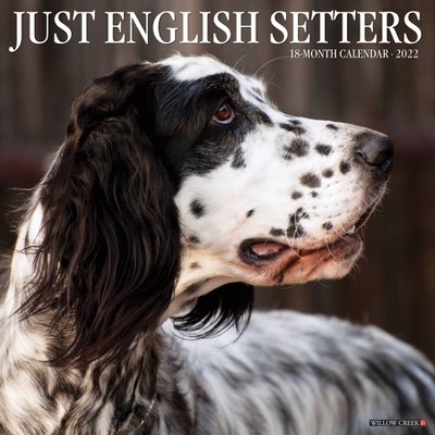 2022 Wall Calendar Just English Setters - Willow Creek Press