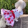 Doggie Design Strawberry Picnic Dog Dress with Matching Leash - image 4 of 4