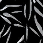 black-bamboo leaf