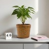 SpassWay 15" Dia Outdoor Indoor Ceramic Planter Pot Decorative Planter with Drainage Hole Patio Flower Pot - 2 of 4
