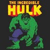 Men's Marvel Incredible Hulk T-Shirt - 2 of 4