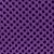 purple (leash bundle)