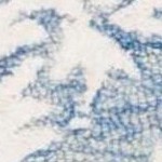 blue/ivory