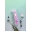 Safely Calm Glass & Stainless Steel Cleaner - 20oz - 2 of 3