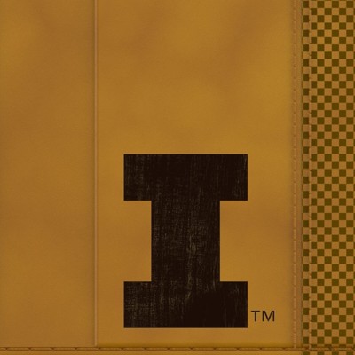 illinois fighting illini