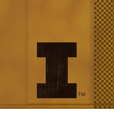 illinois fighting illini