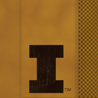illinois fighting illini