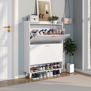 TiranisuBest Shoe Storage Cabinet with 2 Flip Drawers, Slim Wooden Freestanding Shoe Organizer with Shelf for Entryway Hallway–Holds 24 Pairs, Black - 1 of 4