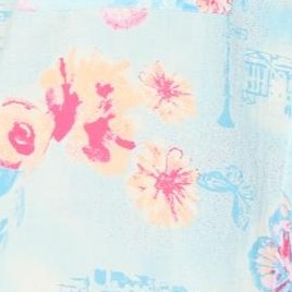 sky blue butterfly multi