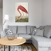  American Flamingo by John James Audubon Unframed Wall Canvas - iCanvas - 2 of 3