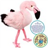 Fay The Flamingo - 13 Inch Stuffed Animal Plush - By Viahart - image 4 of 4