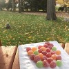 SOUR PATCH KIDS Candy Apple Fall Harvest - 10oz - 3 of 4