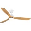 Multi Speed Fan Control, LED Dimmable 52" Indoor Ceiling Fan Ceiling Chandelier Fan With Remote, Timing Function, Memory Function-The Pop Home - 4 of 4