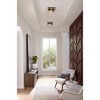 Progress Lighting Briarwood 2-Light Flush Mount, Graphite Finish, Faux-Painted Wood Enclosure, Canopy Included - 4 of 4