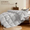 Inhand Down Feather Fiber Comforter - All Season Luxury Duvet Insert, Warm Fluffy Comforter with Premium Cover - 2 of 4