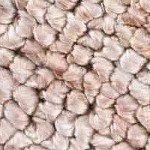 tan, light blue, brown