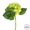 Vickerman 15" Short Stem Artificial Hydrangea - 3 of 4
