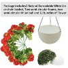 GAOMON 2 Set Artificial Outdoor Geraniums Flowers with Brown Basket, 12 Pcs Geraniums Flowers for Christmas - 3 of 4