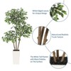5FT/6FT Artificial Ficus Tree - White Planter, Natural Trunks, White-Edged Leaves - Ideal for Indoor Decor - 3 of 4