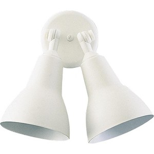Quorum Lighting 2 - Light Floodlight in  White - 1 of 1