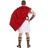 HalloweenCostumes.com Imperial Caesar Men's Costume - image 3 of 4