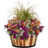 Classic Home and Garden Acacia Wood Whiskey Barrel Planter with Black Metal Band - 3 of 3