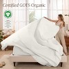 260 Thread Count Organic Cotton Percale Bed Sheet Set by Bare Home - 2 of 4