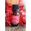 Plantlife Holiday Blends 3-Pack Aromatherapy Essential Oil Set – 100% Pure, Therapeutic Grade, No Additives or Fillers, 10 ml - 4 of 4