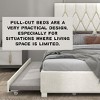 Vynxaria beige gueen size trundle pull out drawers storage upholstered bed - 4 of 4